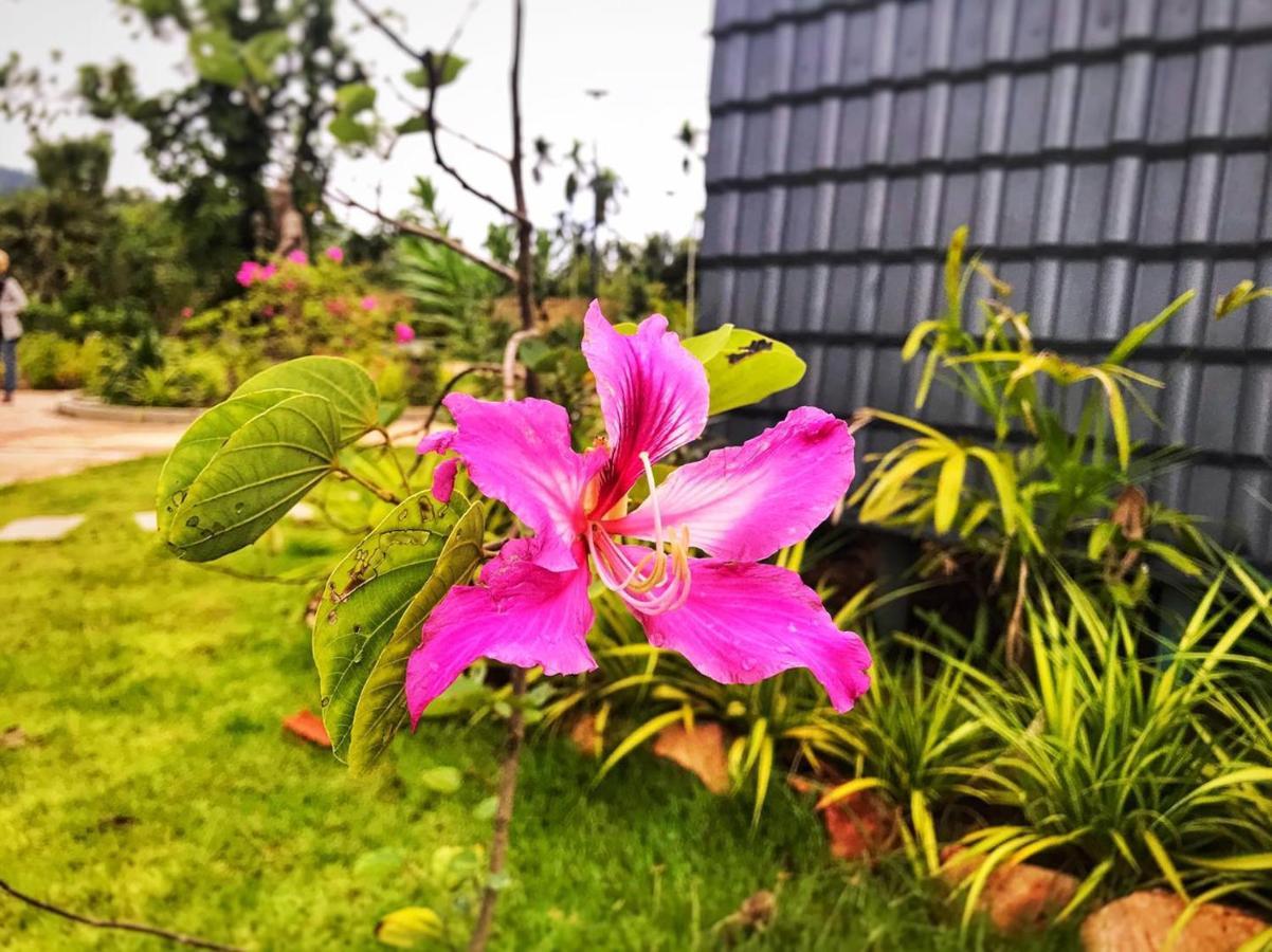 Kampot Tropical Village Kültér fotó